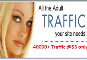40000+ Adult Web Traffic for Your Website or Blog