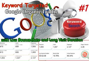 Unlimited Keyword Targeted Google Organic Traffic with Low Bounce Rate for 30 Days