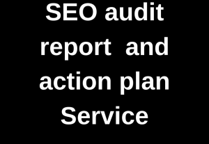 I Will Create A SEO Audit Report And Action Plan And Implement It