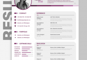 I Will Write, Edit, Design, Unique And Gorgeous Resume For You