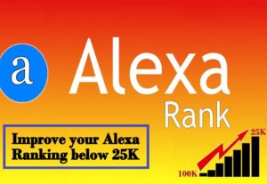 Increase your USA Alexa Rank below 50k & Global 500k using web traffic