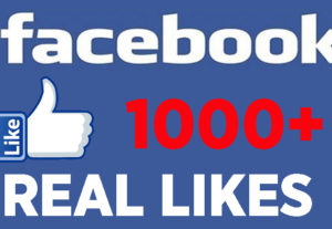 I will you provide 1,000+ Facebook Likes for post!