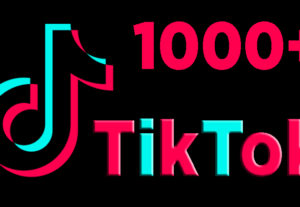 I will provide you 1,000+ TikTok Followers