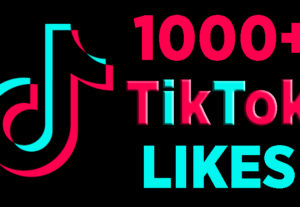 I will you provide you 1,000+ TikTok Likes
