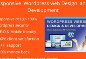 I will make  a professional website for your business