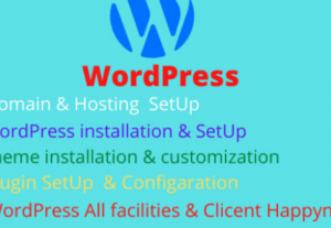 Professional website creation and wordpress installation and setup